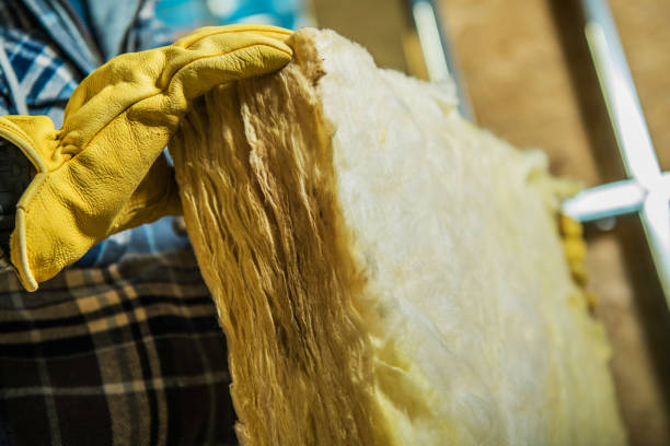 Best Specialized Insulation Services in Lake Delton, WI